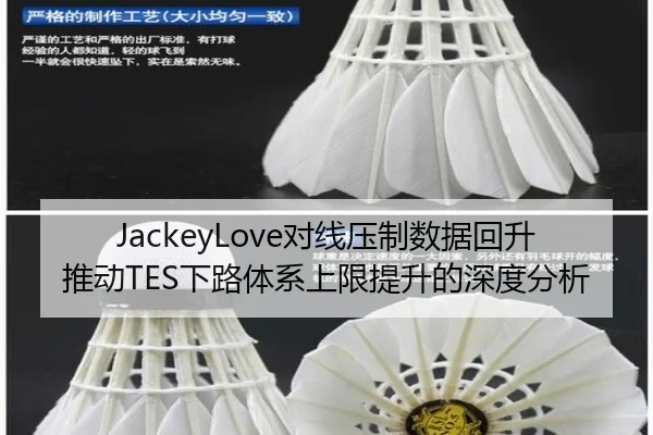 JackeyLove对线压制数据回升推动TES下路体系上限提升的深度分析